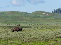 WY-MT-0221 : Overland, WY-MT, Yellowstone