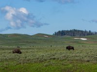 WY-MT-0224 : Overland, WY-MT, Yellowstone
