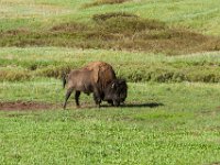 WY-MT-0253 : Overland, WY-MT, Yellowstone