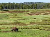 WY-MT-0254 : Overland, WY-MT, Yellowstone