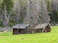 WY-MT-0266 : Overland, WY-MT