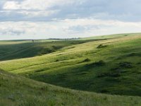 WY-MT-0273 : Overland, WY-MT