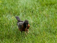 WY-MT-0313 : Overland, WY-MT