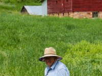 WY-MT-0343 : Overland, WY-MT