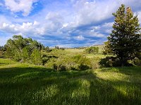 WY-MT-190636 : Overland, WY-MT