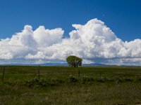 WY-MT-9735 : Overland, WY-MT