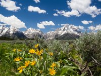 WY-MT-9765 : Grand Teton, Overland, WY-MT