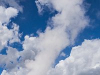 WY-MT-9797 : Overland, WY-MT, Yellowstone