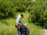 WY-MT-9845 : Overland, WY-MT