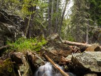 WY-MT-9870 : Overland, WY-MT