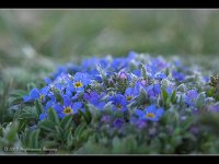 070617-0720425413-IMG 1422-001