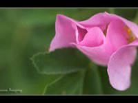 070703-0000204031-GP5B9707-001c