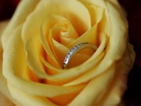 070929-0000204031-GP5B8887 : 2007, Flowers, Friends, Kim Geist, Red, Rings, Roses, Weddings, Yellow