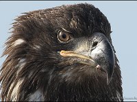 060319-0720425413-IMG 3399-001