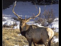 070126-0000204031-GP5B1516-001