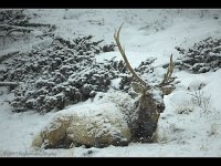 070127-0000204031-GP5B1855-001