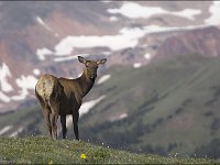 070703-0000204031-GP5B6270-001