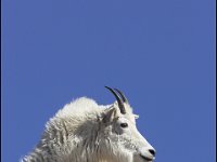 070617-0000204031-GP5B5547-001